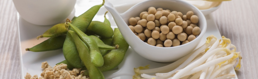 alter'native food forum