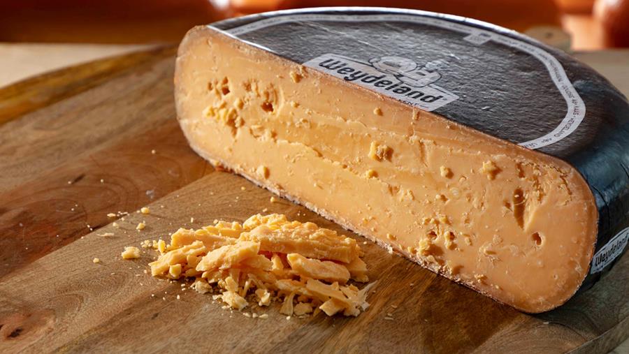 Faites la différence avec une gamme unique de fromages à pâte (semi-)dure