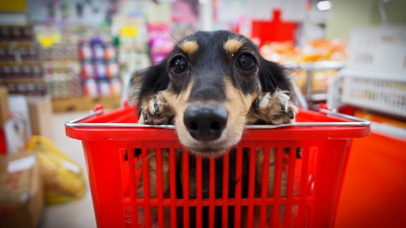 Petcare laat grote doelgroep vaker bij u winkelen