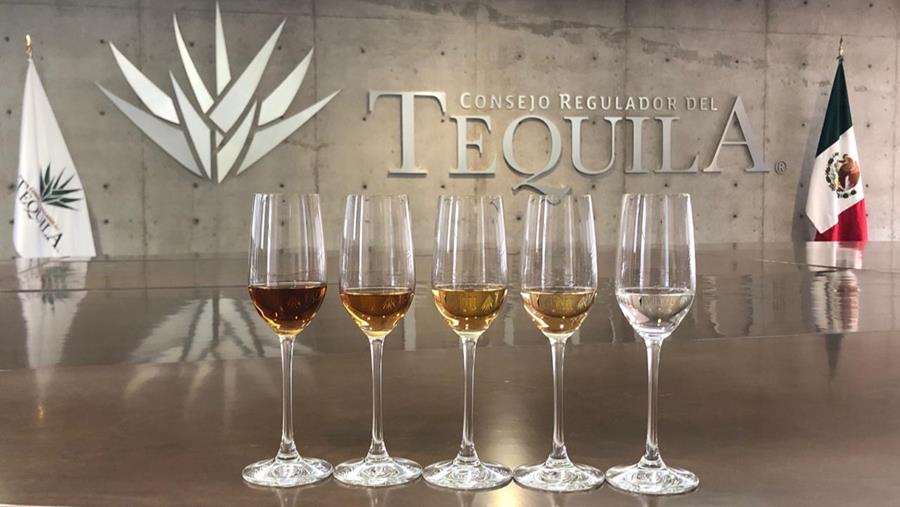 La Tequila est en plein essor en Belgique