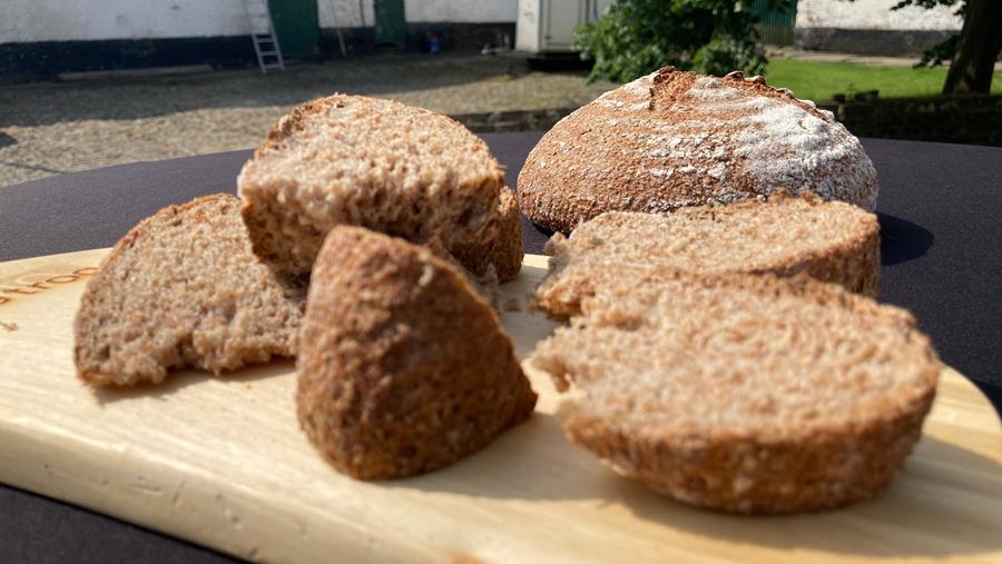 LA BOULANGERIE BIO DE TROG PRÉSENTE LE PAIN DE MAÏS BELGE