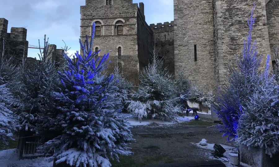 Créer la plus belle ambiance végétale