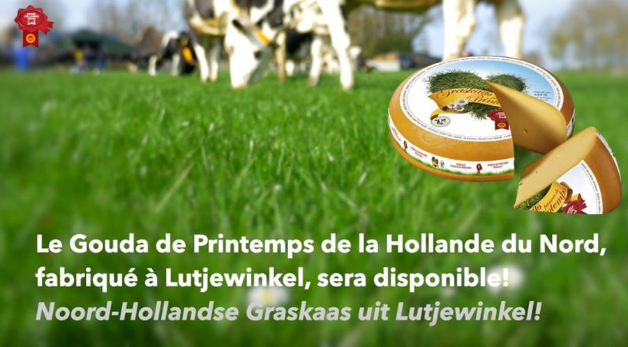 LE GOUDA DE PRINTEMPS DE LA HOLLANDE DU NORD