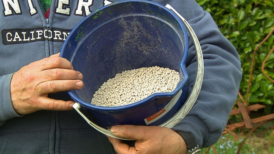 Maak je tuin winterklaar met deze checklist