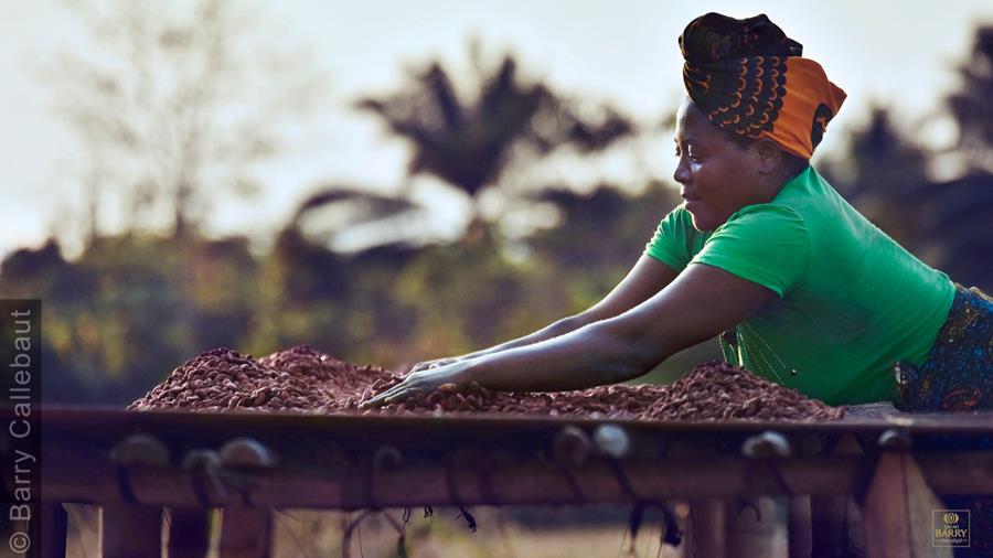 Tips om de verkoop van originechocolade te boosten