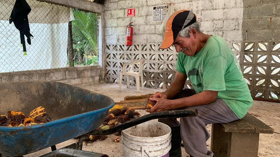 “Je kan het verhaal niet begrijpen als je de cacaoboer de hand niet hebt geschud”