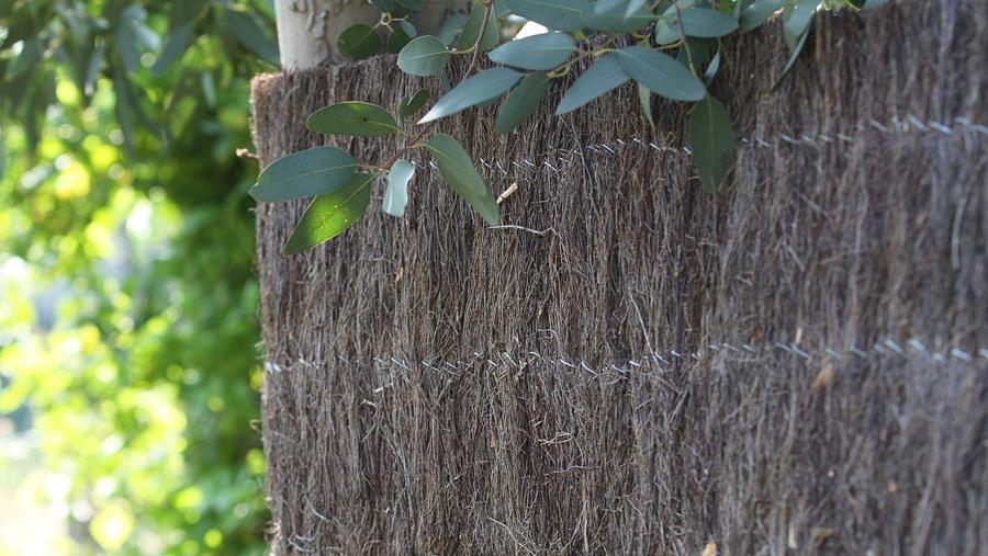 Effenso: specialist in privacy-oplossingen voor tuinafsluitingen