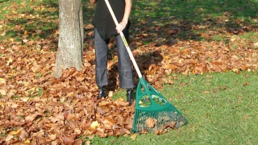 6 travaux de jardinage à ne pas oublier cet automne