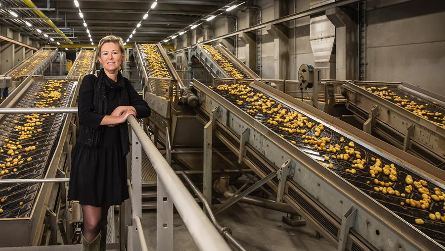 Agristo investit 350 millions dans le nord de la France