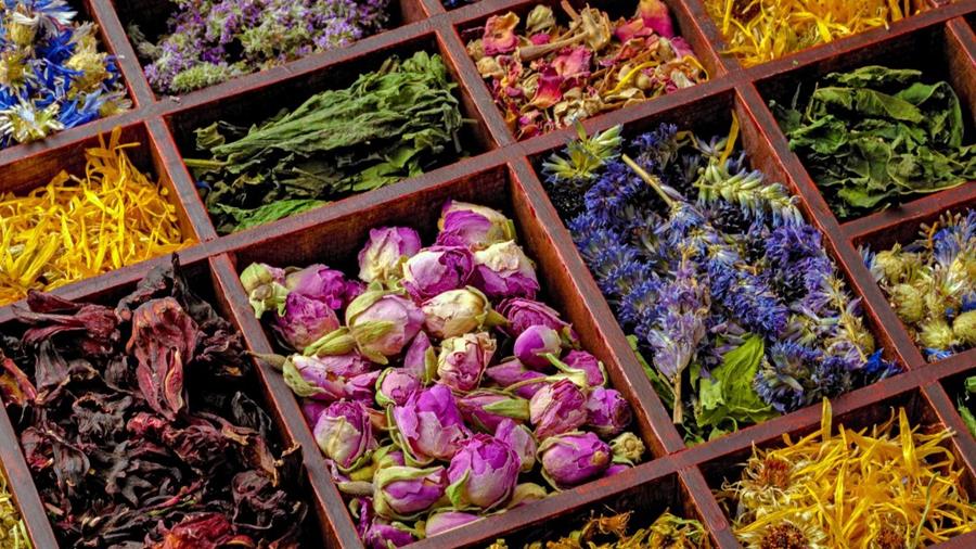 Thee en infusie: wat is het verschil?