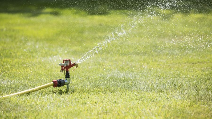 Efficiëntie in de tuin: een duik in bewateringssystemen