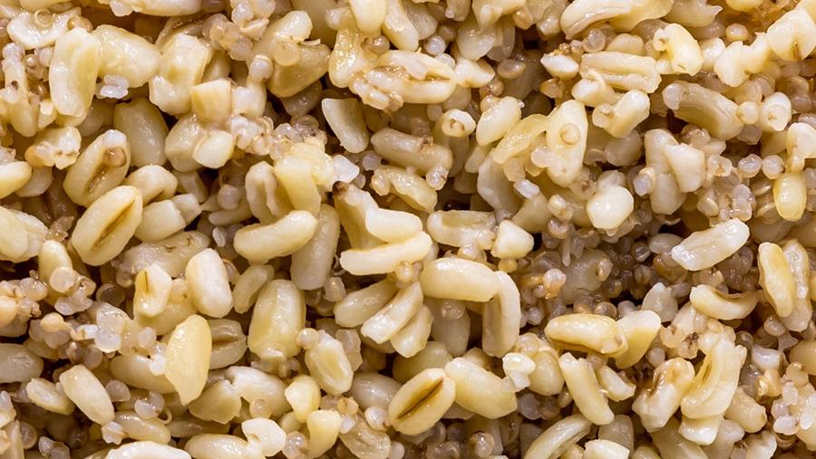 Bonduelle lance des mélanges de céréales en sachets