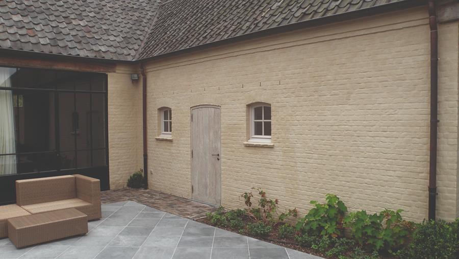 Hoe je ervoor zorgt dat kalei lange tijd mooi blijft