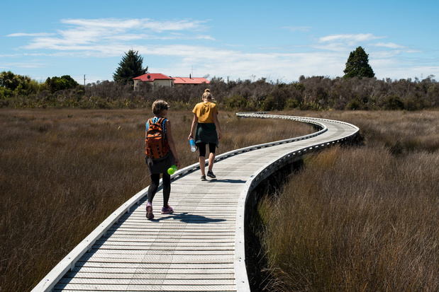 Gezond leven in de praktijk